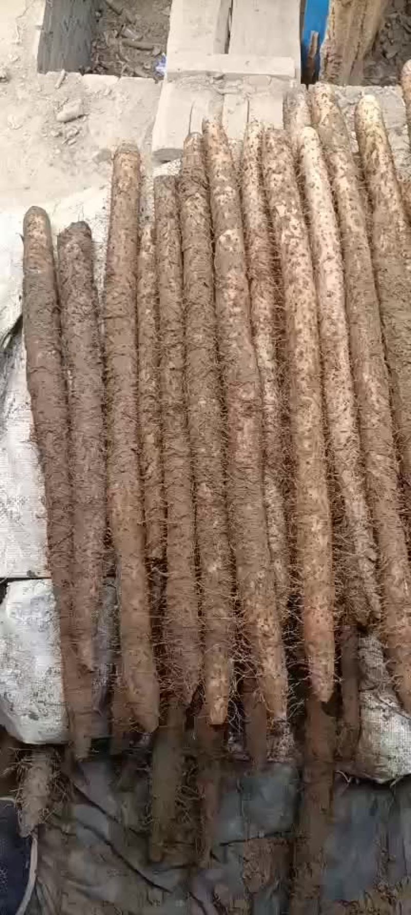 电器配件的生产销售 第292页