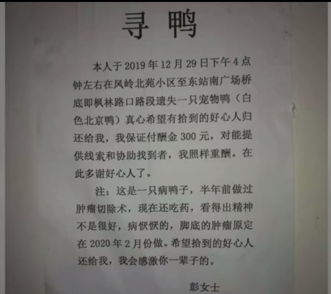 电器配件的生产销售 第286页