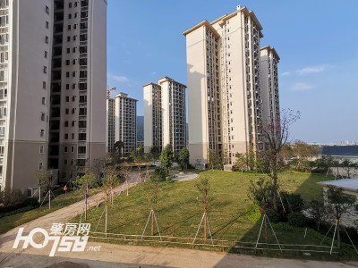 农房澜山，崛起的地标，引领时代新篇章的最新消息