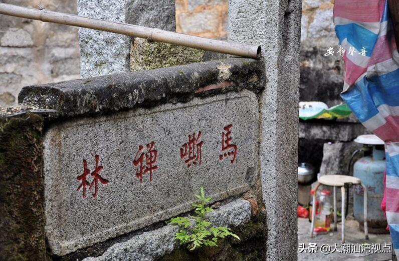 马山县最新道场，科技重塑生活，前沿高科技产品惊艳亮相展