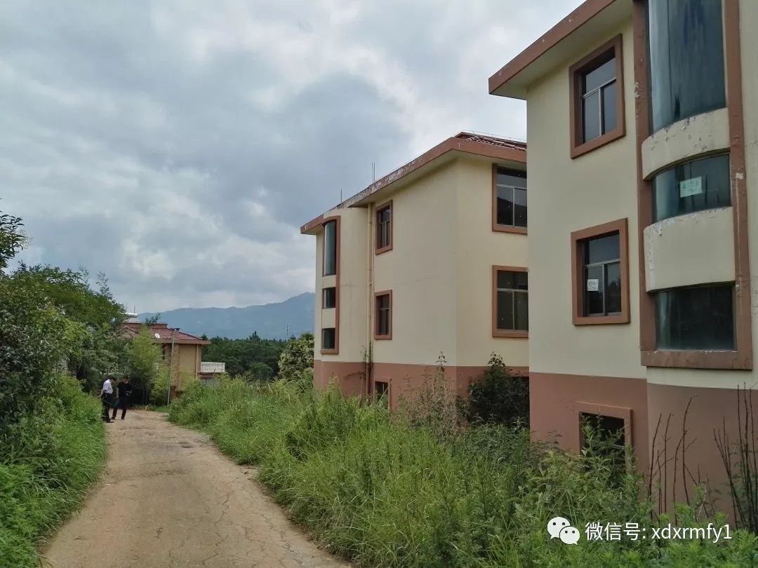 技术进出口 第217页