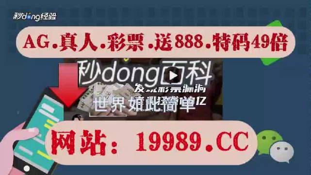 2024年澳门天天开彩正版资料,实地研究解答协助_RXW83.413随行版