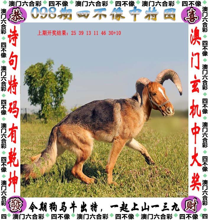 2024年澳门精准正版四不像网,专家权威解答_FQR83.160生活版