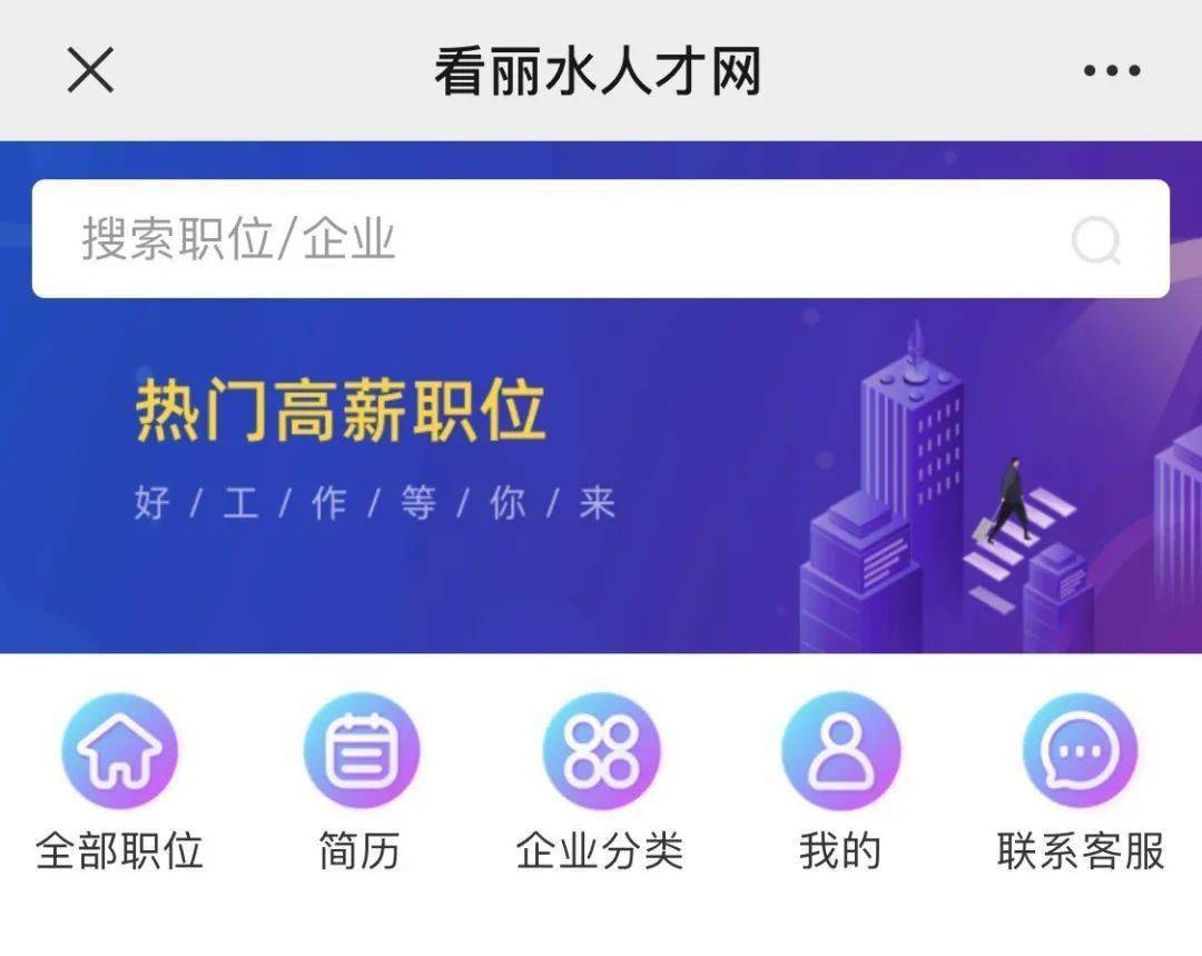 丽水招聘信息大全，求职全步骤指南