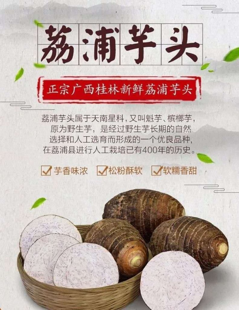自行车配件 第104页