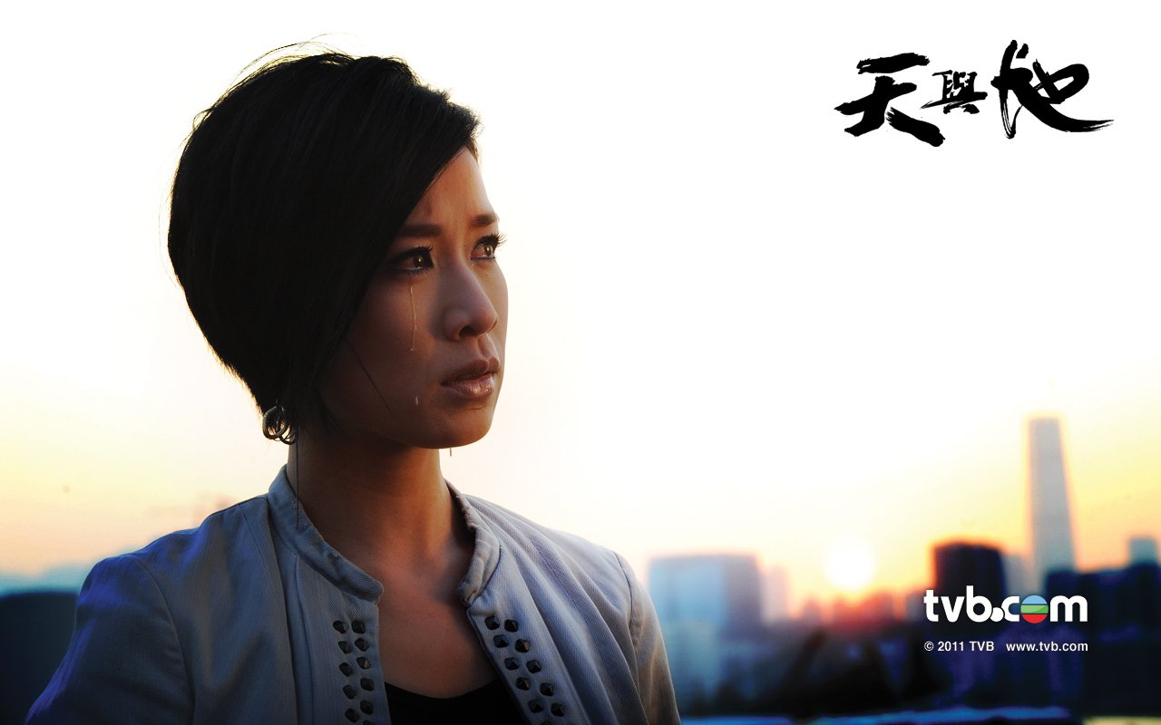 天与地深度解析角色与演技优劣，演员表一览