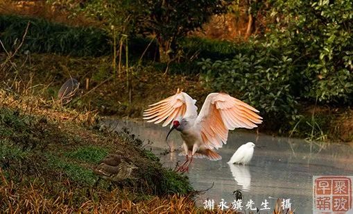 江门华尔润，自然美景的探索之旅，寻觅内心平和与宁静的最新动态