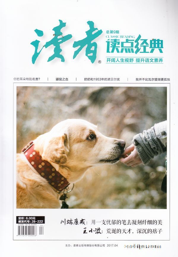最新读者精选在线阅读，深度探讨阅读的魅力与意义