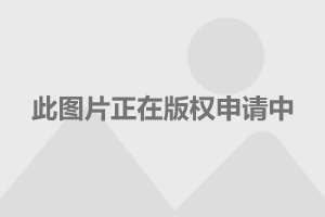 江西婺源最新资讯,江西婺源最新资讯，探索自然美景的旅行，寻找内心的平和