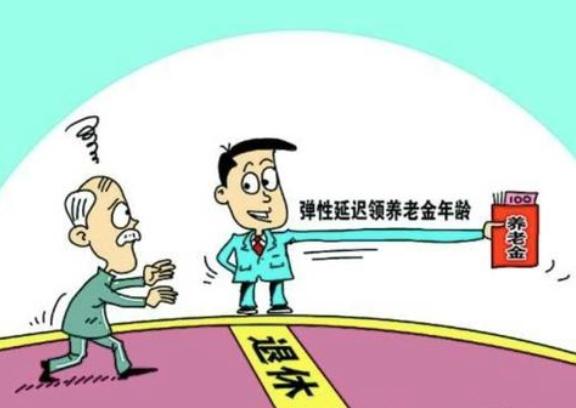 退休最新规定详解，初学者与进阶用户的步骤指南