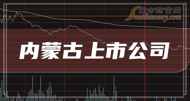 呼市上市公司,呼市上市公司，繁荣的资本市场焦点
