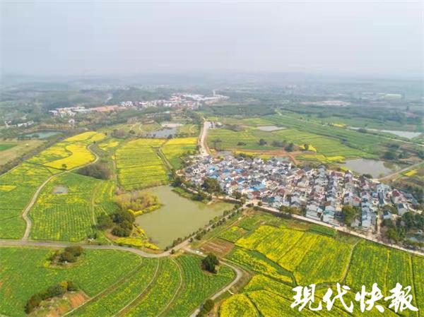 花海视频更新，内容、用户与时代的完美融合