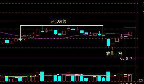 双杰电气股票最新动态，学习变化，成就自信与梦想之路