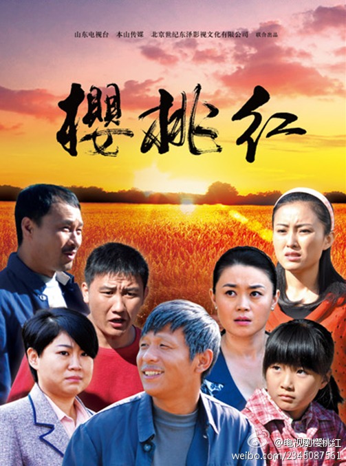 樱桃电视剧全集38集，励志路上的正能量与欢笑，自信与成就感的源泉视频呈现