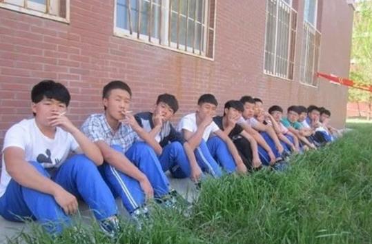 五个学生打死学生事件，背景揭秘、进展追踪与影响评估