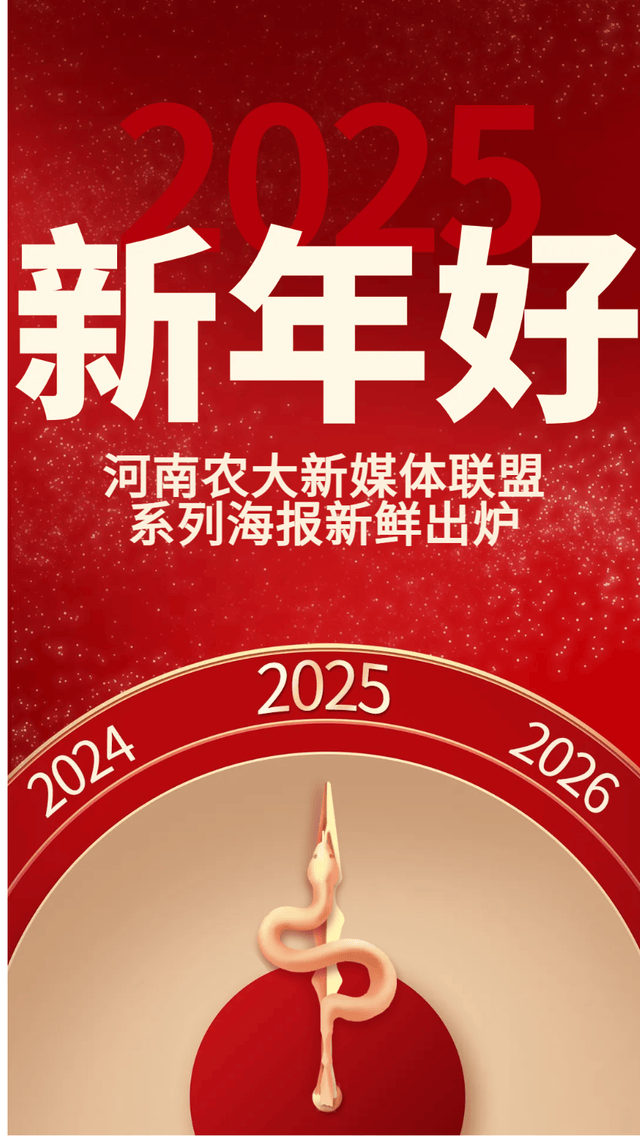 2025南召人事调整最新动态及步骤指南