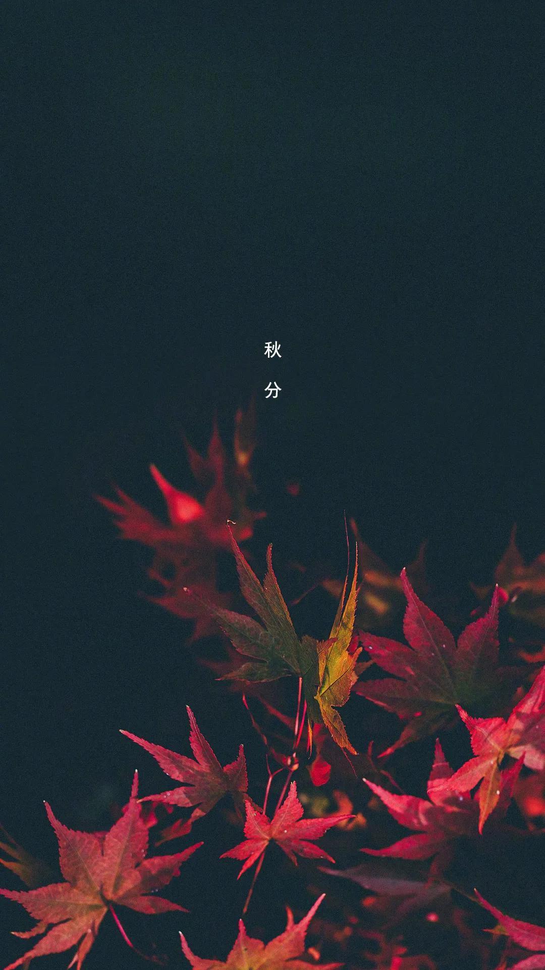电器配件的生产销售 第22页