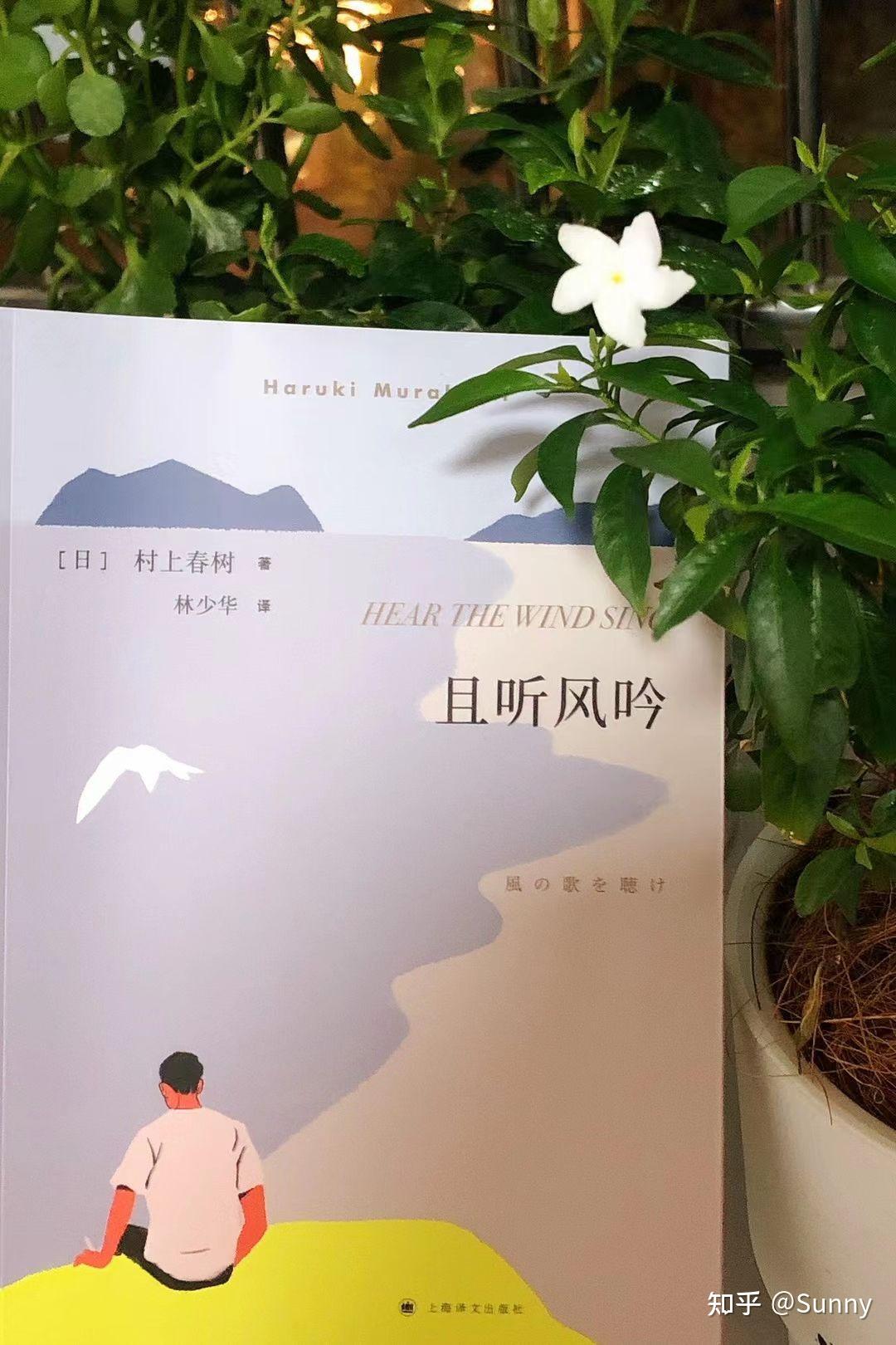 侧耳听风最新小说，奇幻之旅探索神秘世界