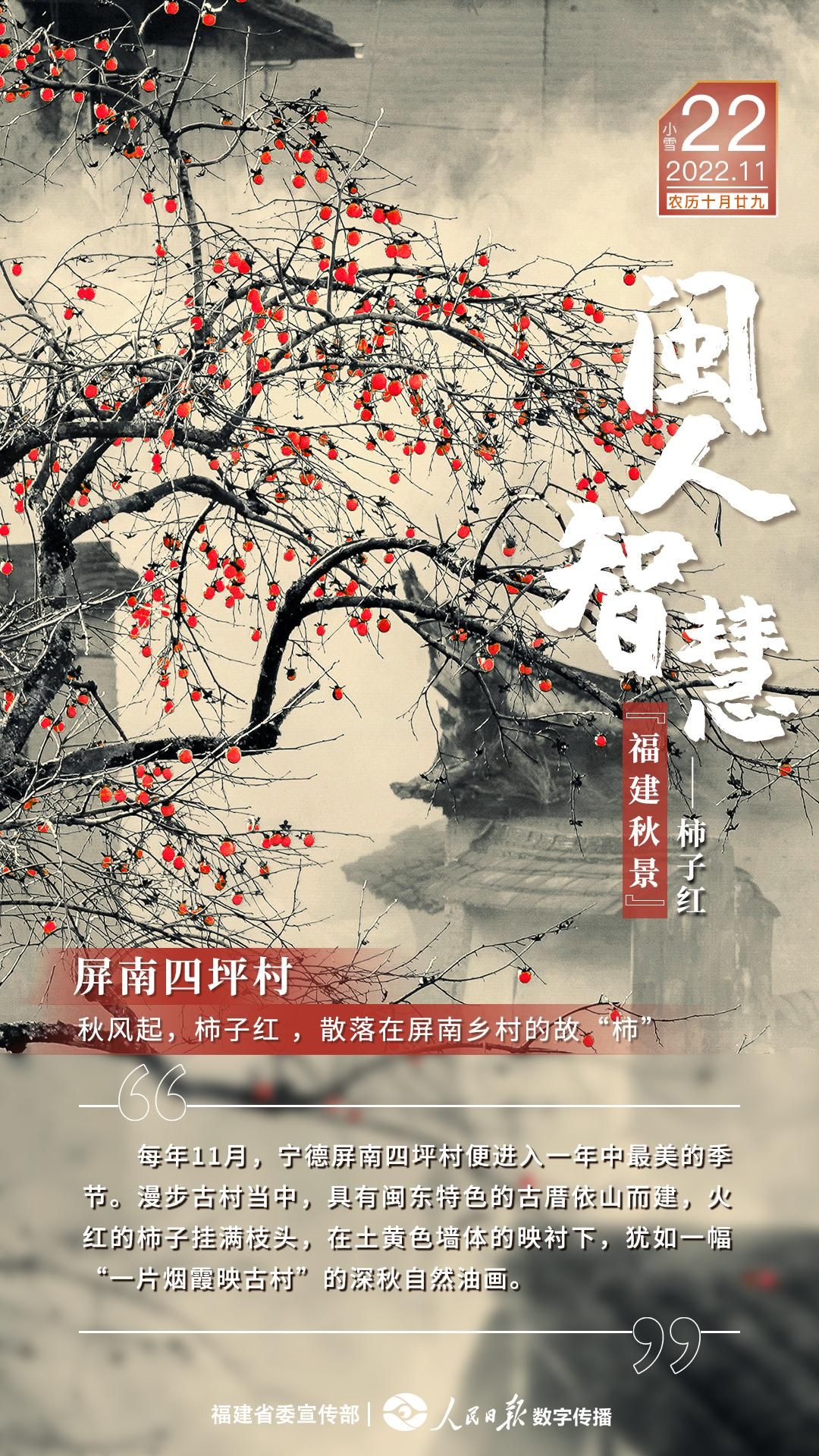 屏南论坛最新动态，小巷深处的惊喜——特色小店揭秘