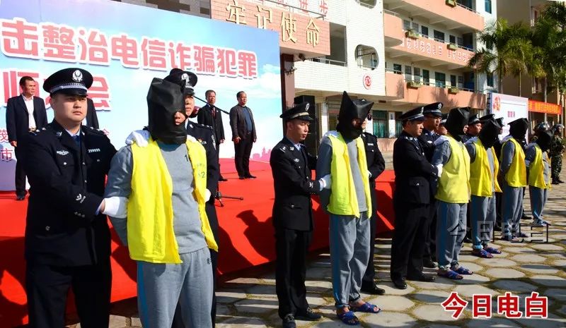 电白新闻最新诈骗案及其背后的温情故事揭秘