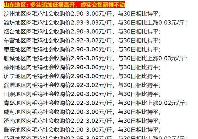 山东毛鸡最新价格及小巷深处的特色美食探秘
