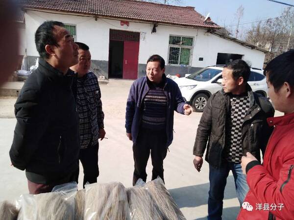 洋县槐树关最新新闻动态更新