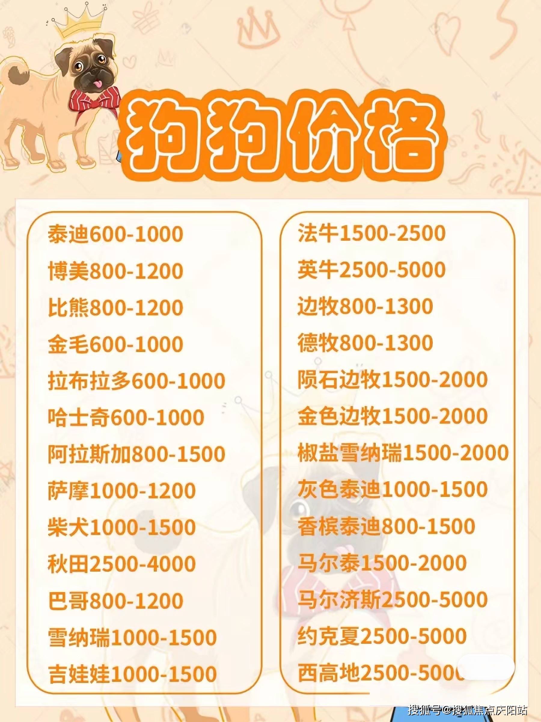 最新长毛牧羊犬价格详解，全面解析与购买指南